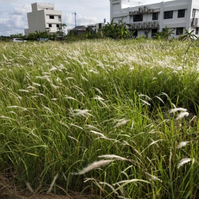 littlekidchang post 2