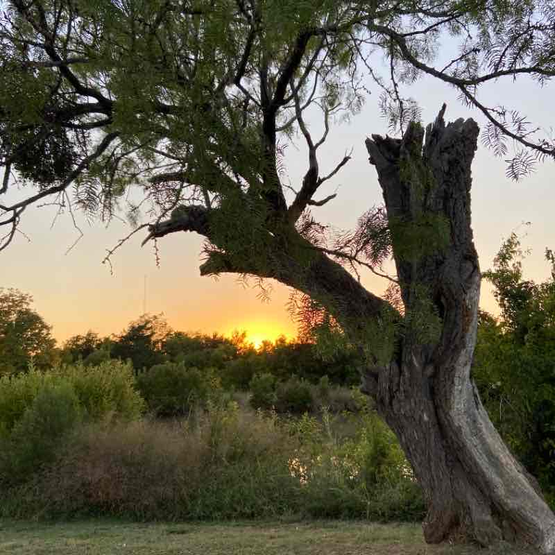 Cal Young Park - Abilene
