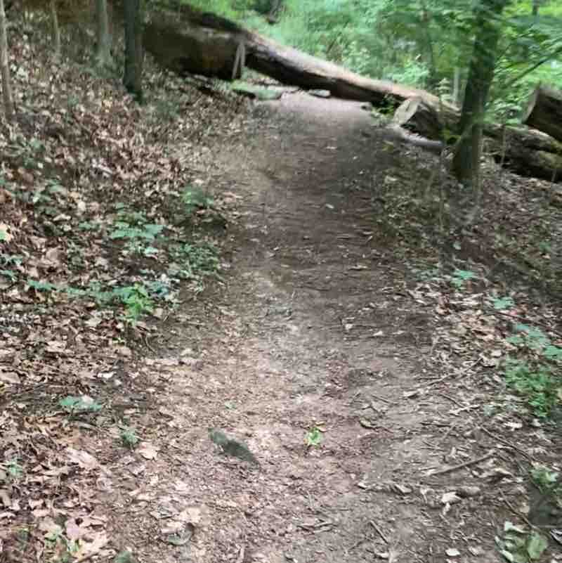 Iroquois Park Lookout