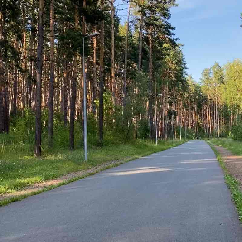 Сосновый Бор