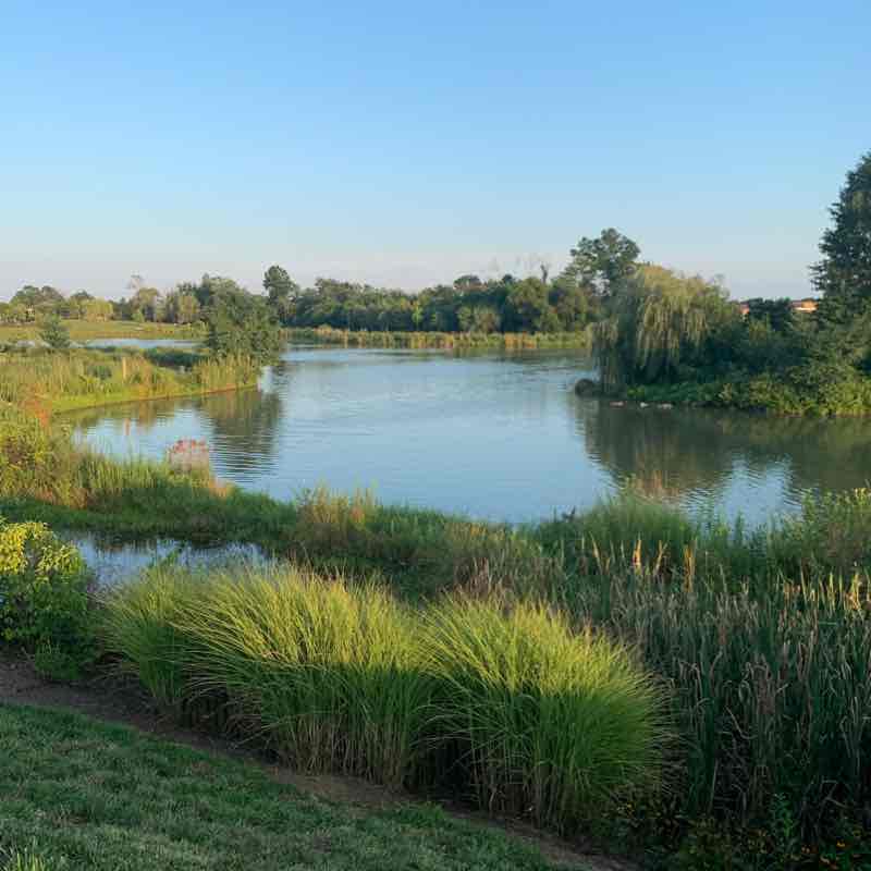 Long Slow Distance (LSD) Walk Route