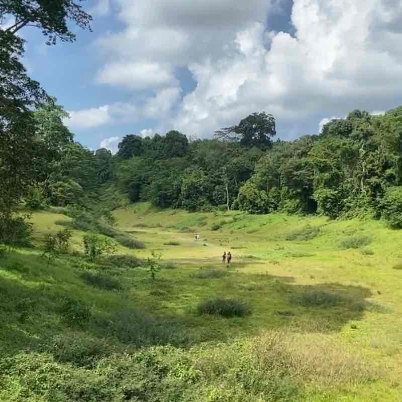 Greenway Trail - Buona Vista to Beauty World