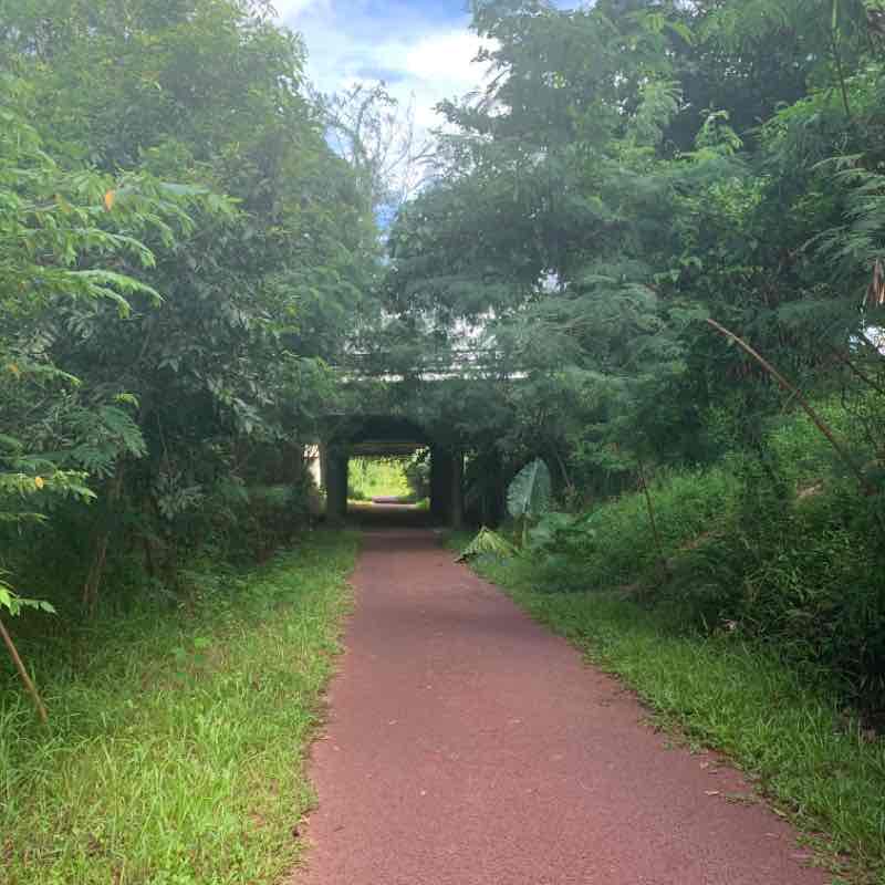 Green Corridor South