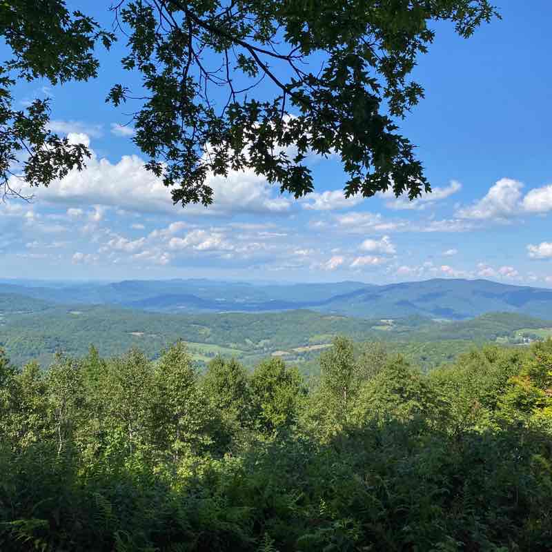 Mt Antone Trail Merck Forest