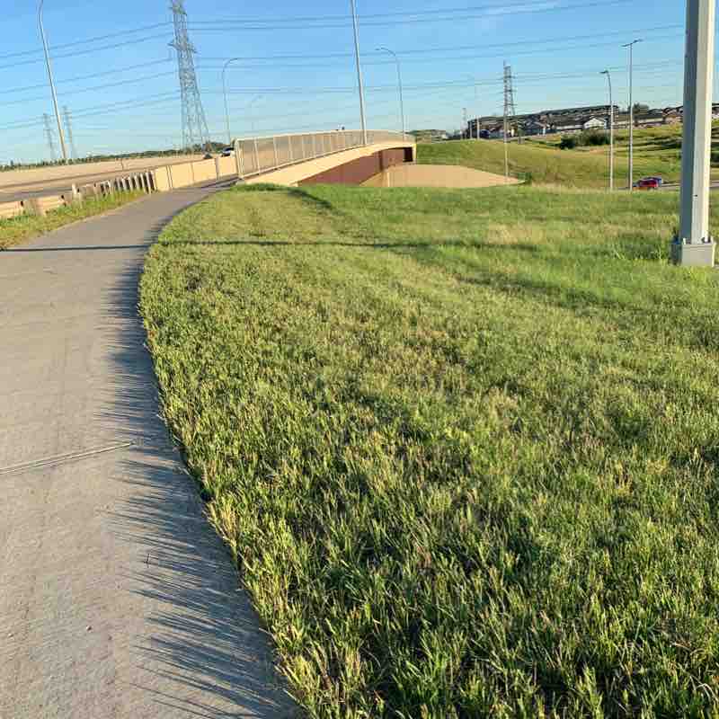 50st Anthony henday