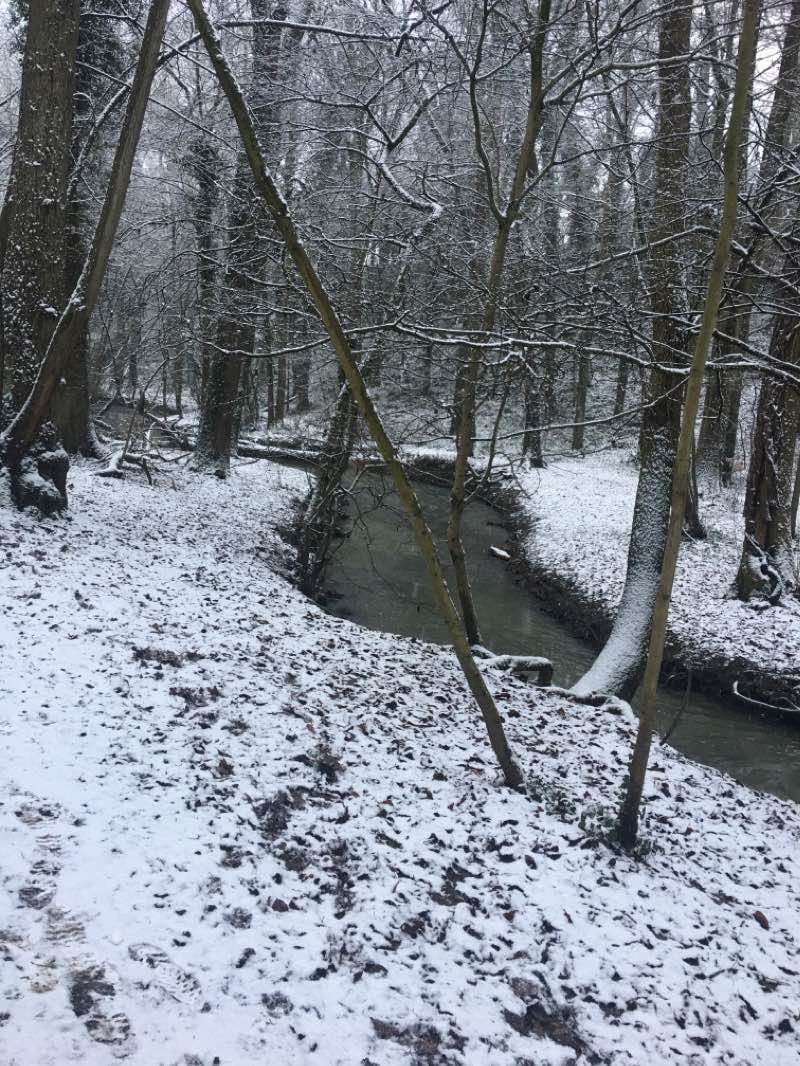 walking near me in Anston Park in winter