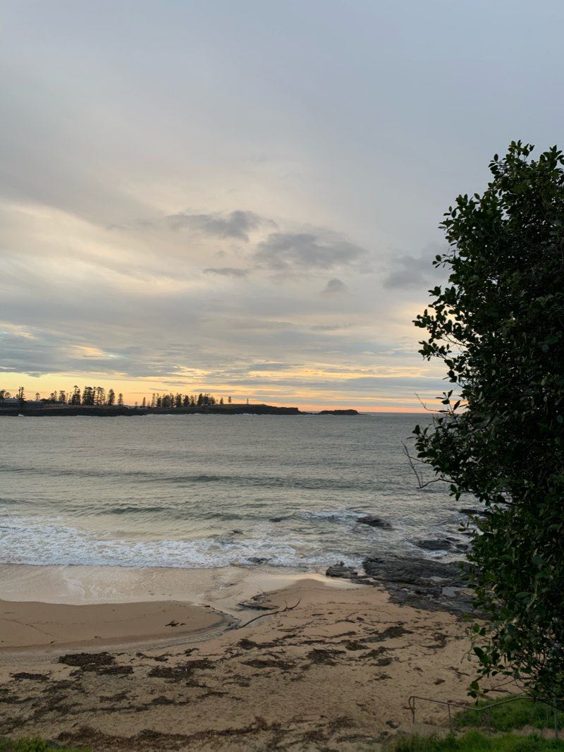 walking near me in Bonaira Reserve in summer