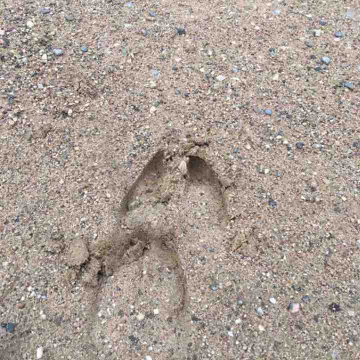 Помешал дождь.