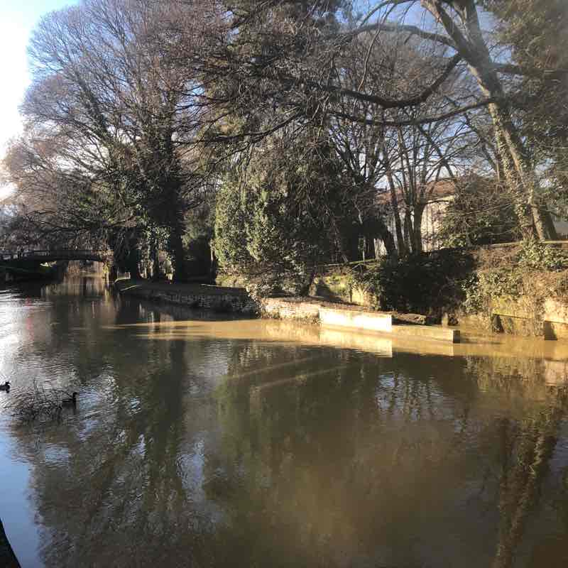 Un piccola parentesi di sole nel grigio lockdown