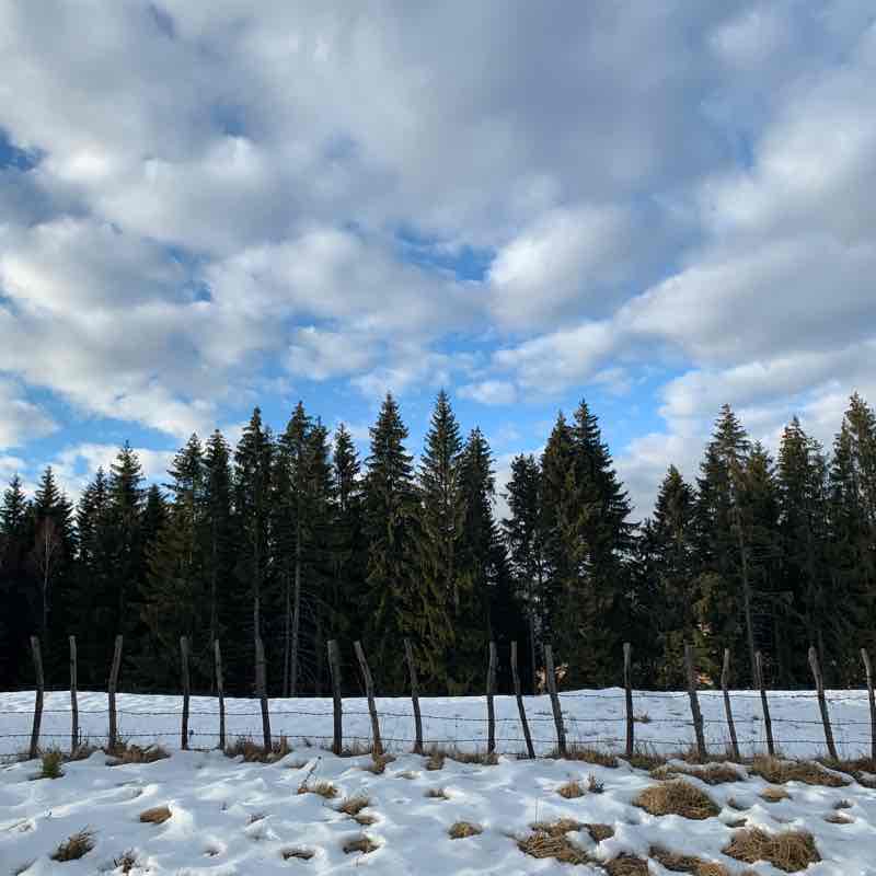 Cavljak - Crepoljsko - Cavljak