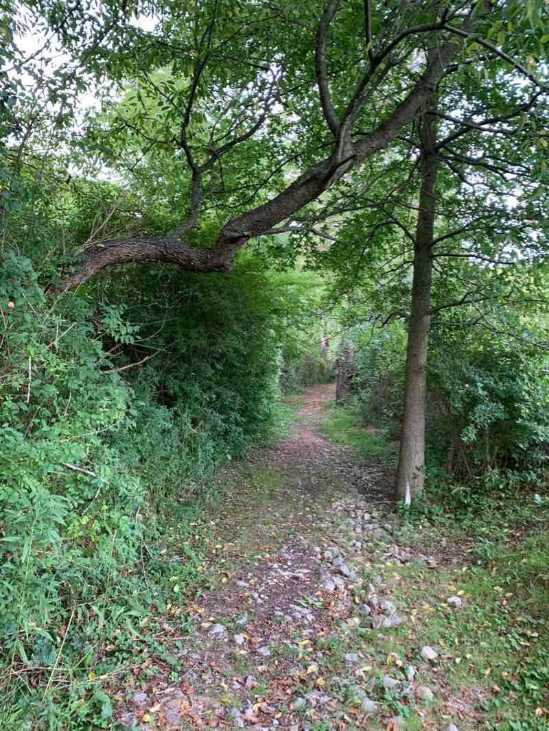 walking near me in Blueberry Hill Park in winter