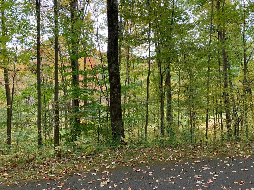 walking near me in Moraine State Park in winter