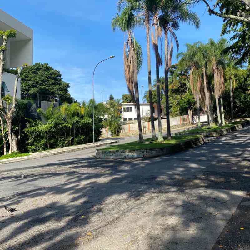 3era los Palos Grandes - Regresó El Pedregal