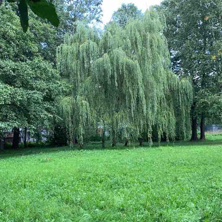 Парк Удельный