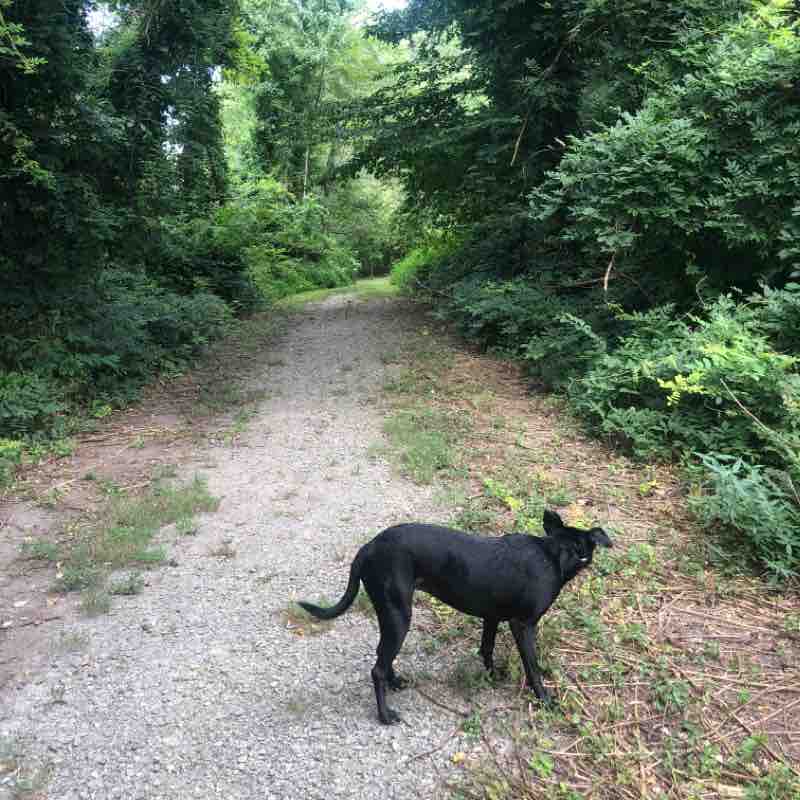 Perfect lakeside walk