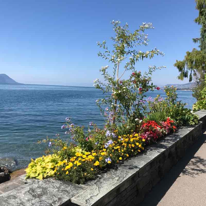 Montreux Forum à Territet <-> par le lac.