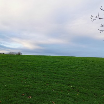 breda.c.murphy post 2