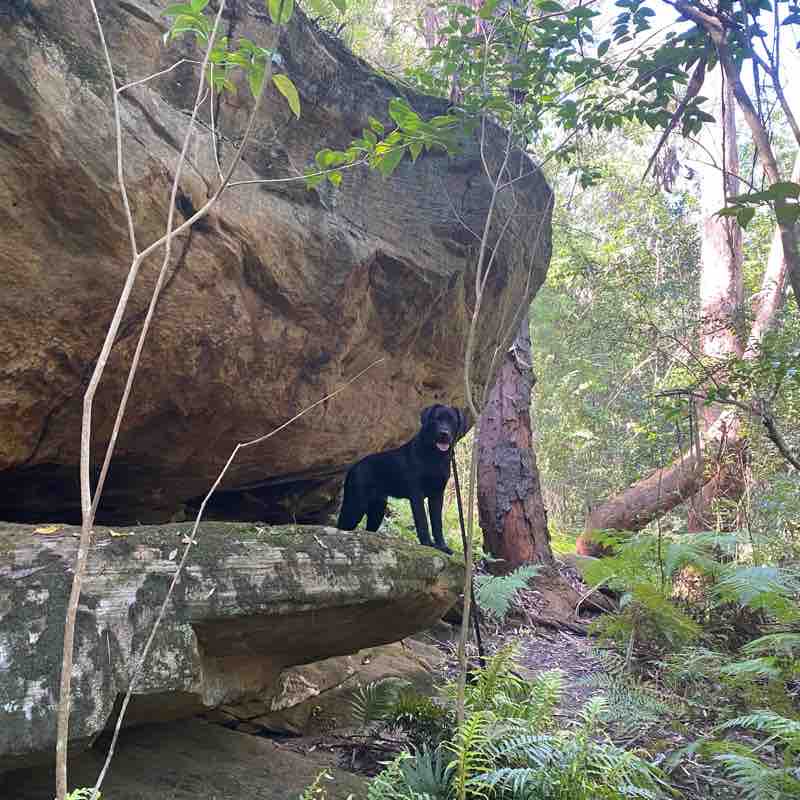 Hunts creek and waterfall