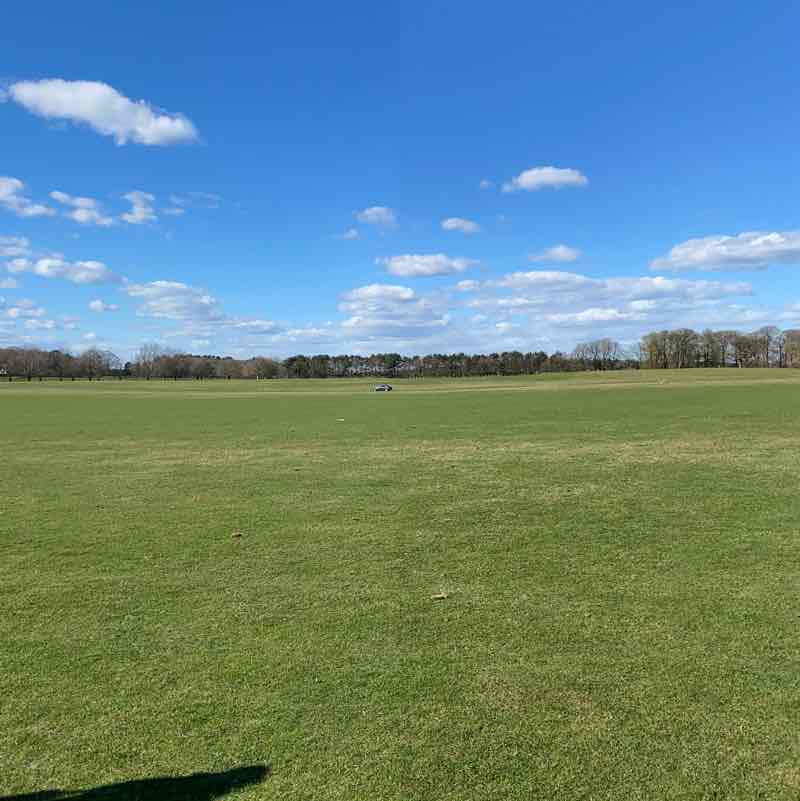 Woburn Abbey and deer park