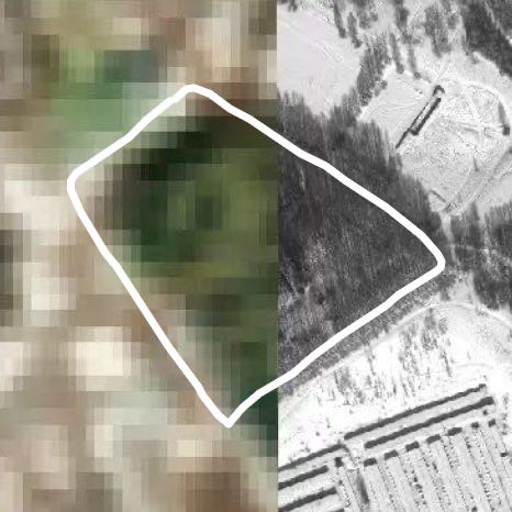 Городской парк Волоколамска