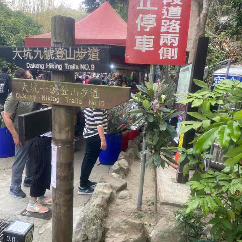 大坑十號登山步道到觀音亭