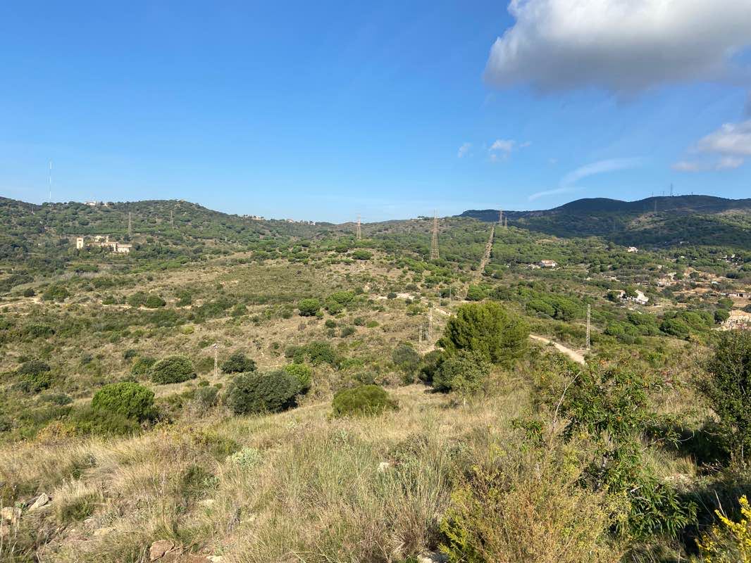 walking near me in parc de Can Solei i Ca l'Arnús in winter