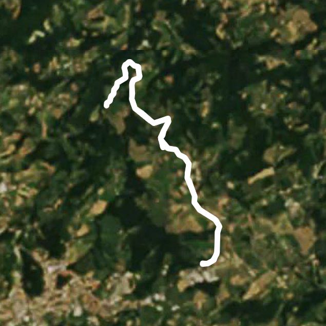 Strada nel verde