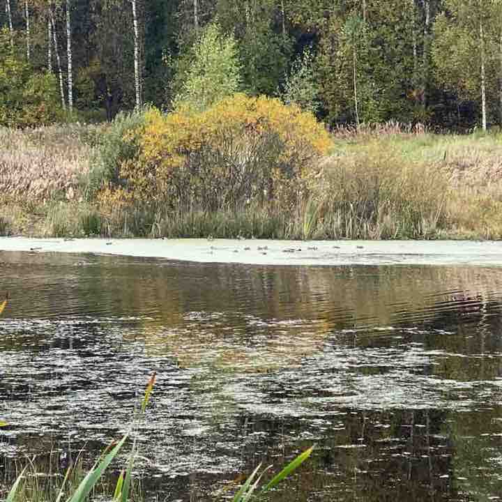 Новогорск-озеро