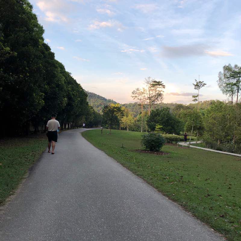 The Beauty Is Priceless 