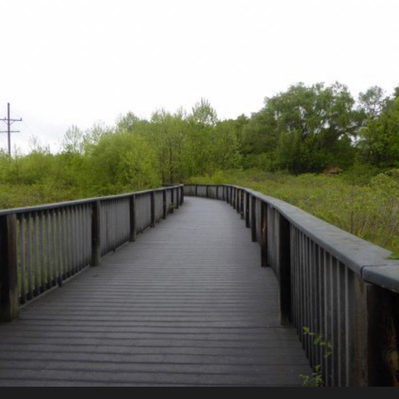 Abrams Creek Wetland Preserve