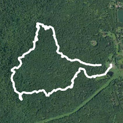 Solo slow hiking in Sourland Mountain Preserve