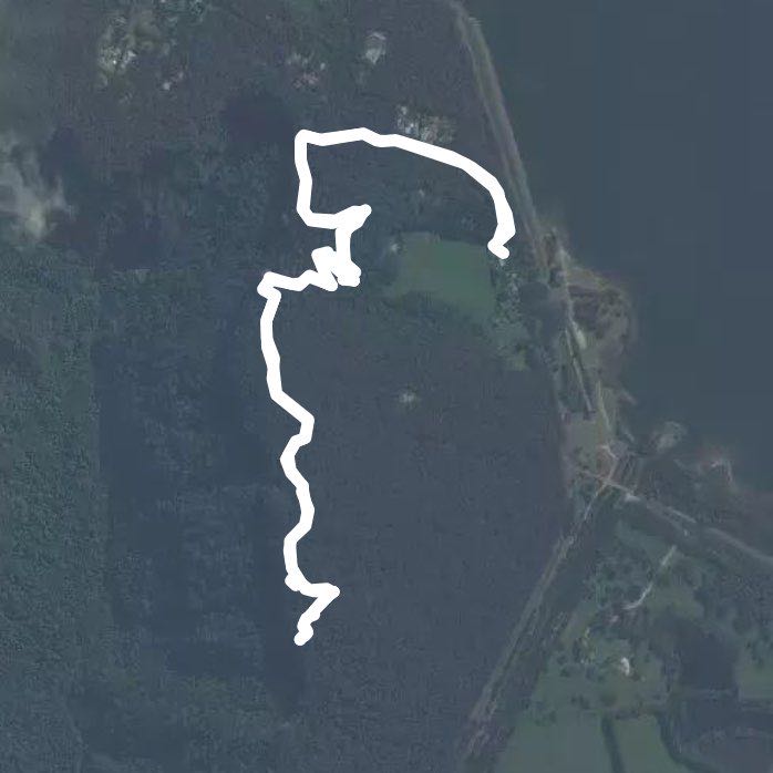 East rim