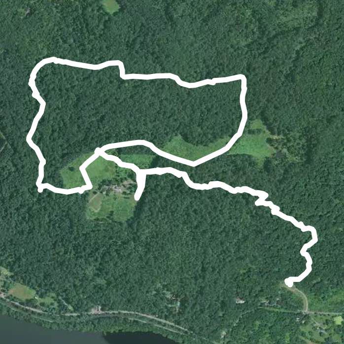 Bald Pate Blue, White, Red