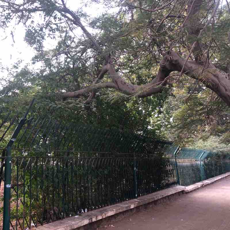 حديقة المريلاند - مصر الجديدة