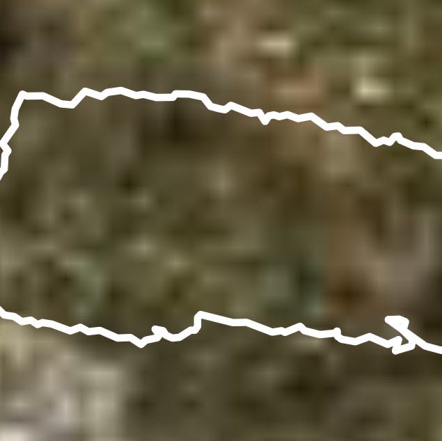 Sunday morning walking