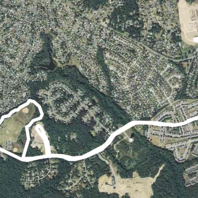 Community Walk with Kim P.