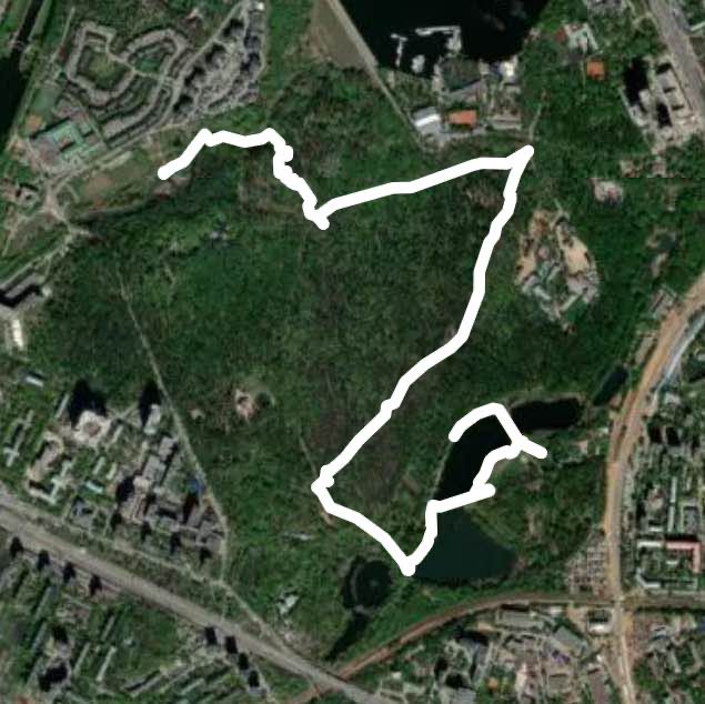 Романтический парк