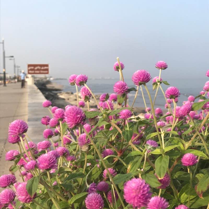 Qurum Beach