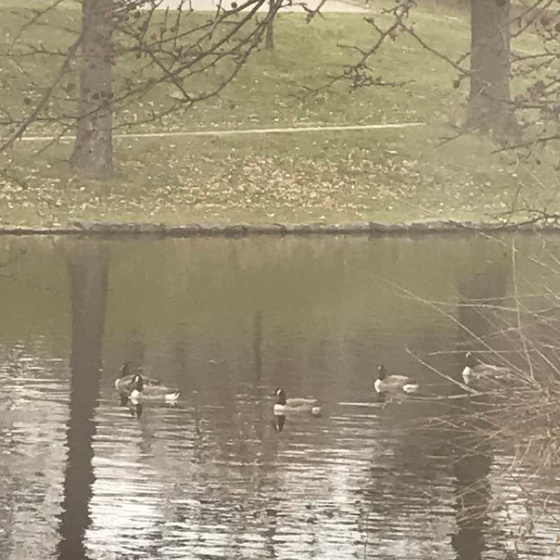 Hanscom Park lake loop