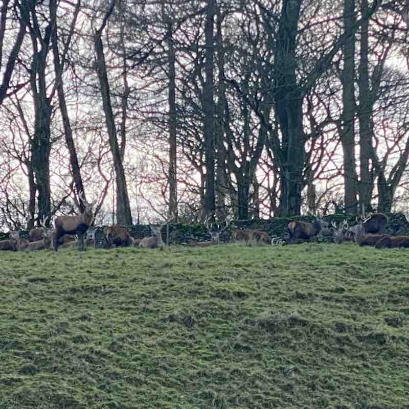 Poynton Trail