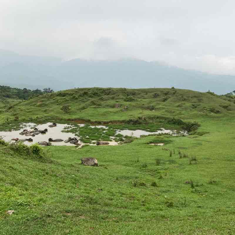 草嶺桃源谷-大里-大溪