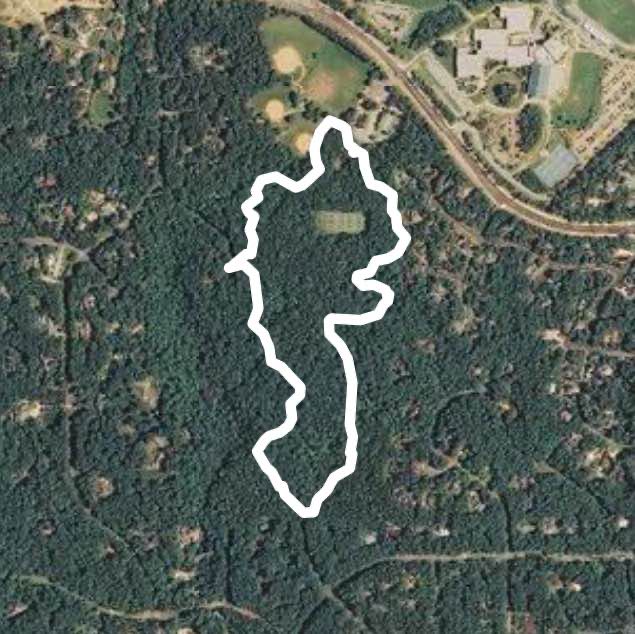 Cedar Falls Park Trail