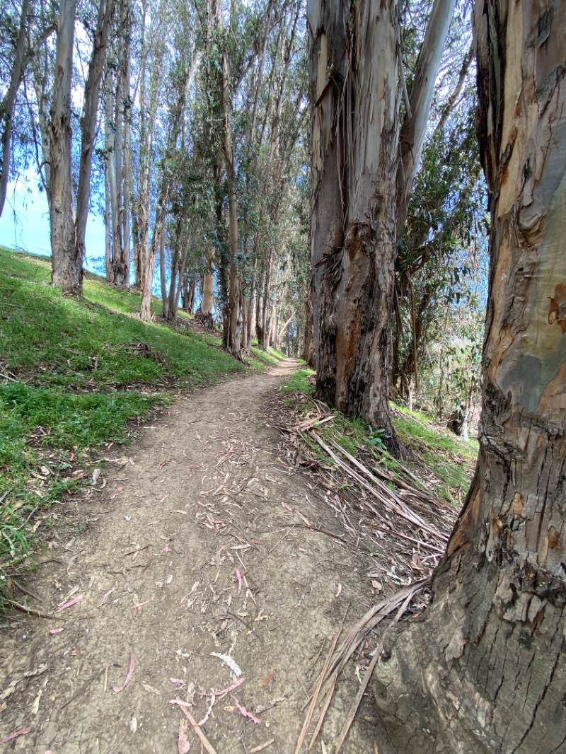 walking near me in Glen Cove Waterfront Park in winter