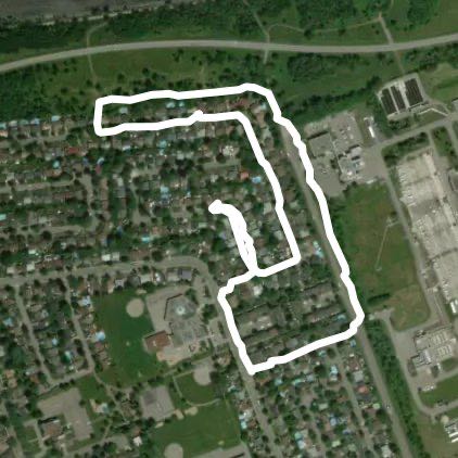 Walk with Dune on 1 st December