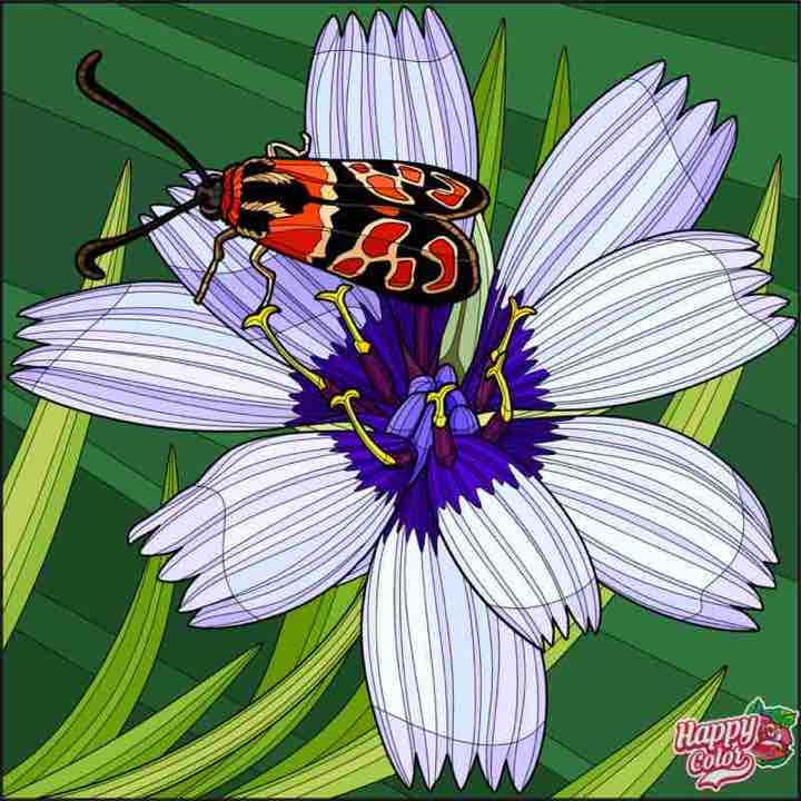 Miranda Shopping Centre