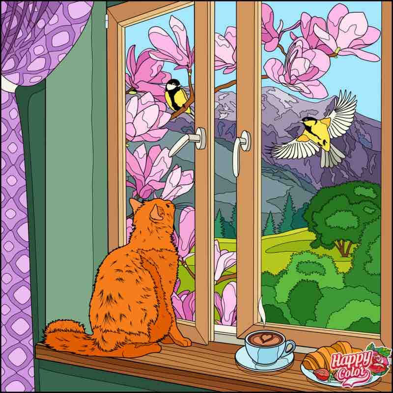 Cope Street-Walker Street