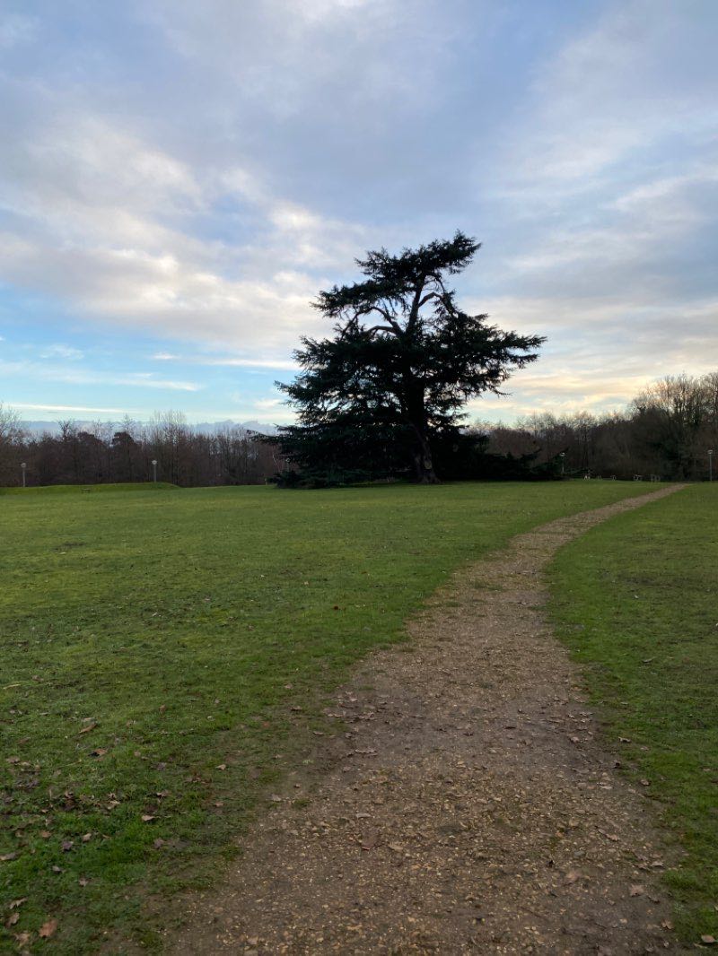 walking near me in Homewood Park in winter
