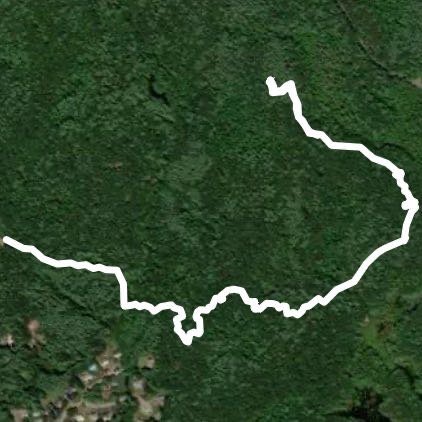 Harold Parker State Forest