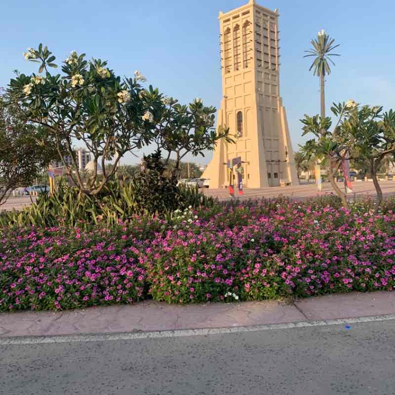 الشاطى الغربي تحدي ٥ ك