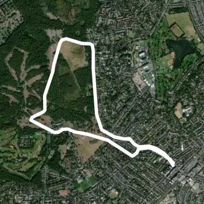 Wimbledon common loop